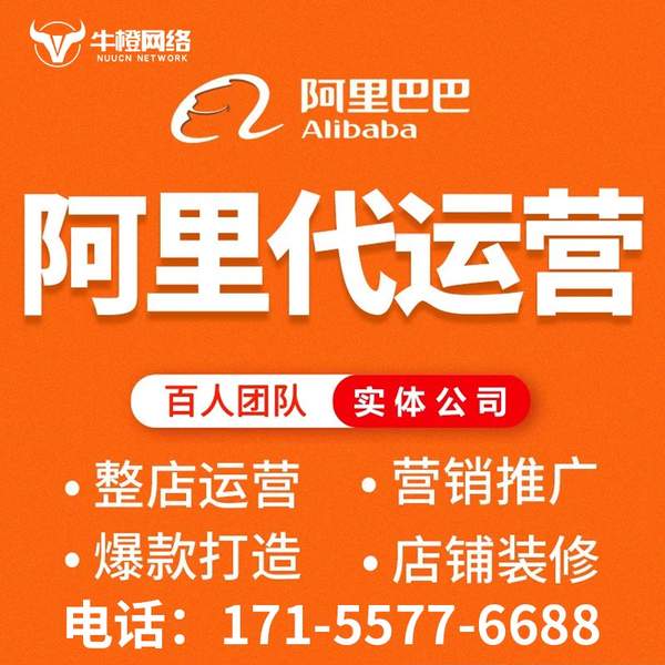 白山电商代运营