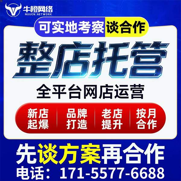 白山电商代运营