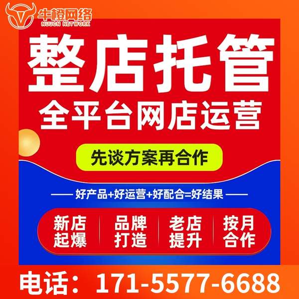 白山电商代运营