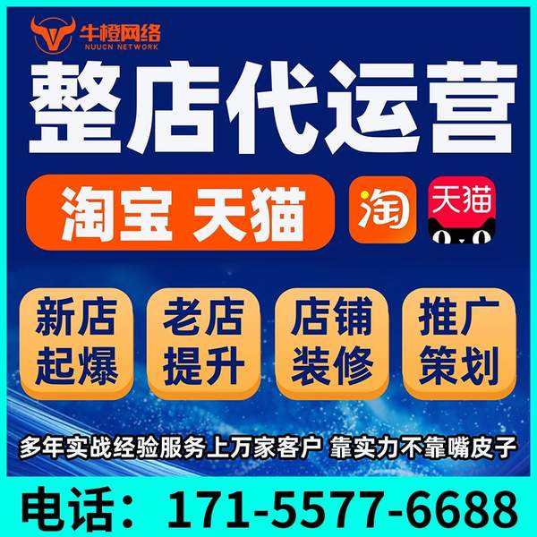 白山电商代运营