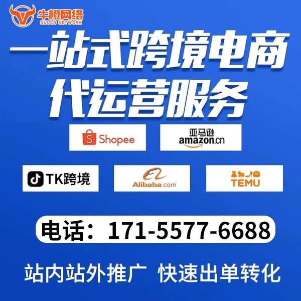 白山电商代运营