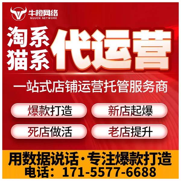 白山电商代运营